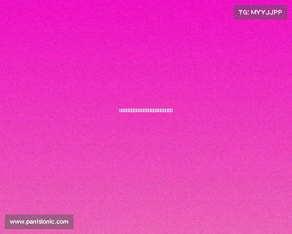 过去一个赛季出战次数最多的劳模阵容盘点与分析