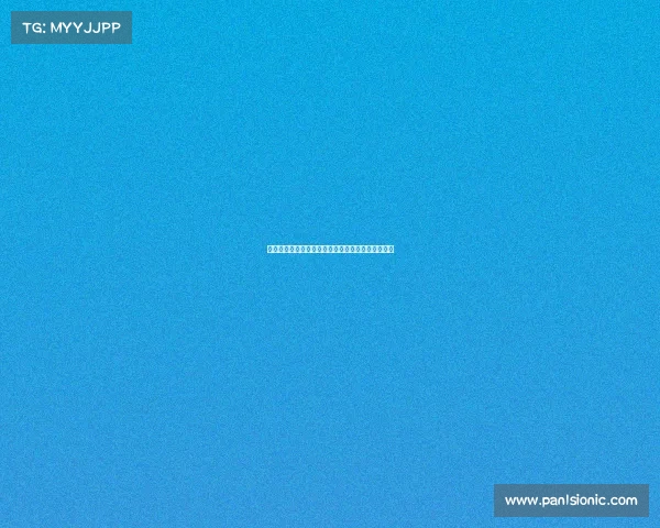 斯图加特与阿森纳就签下法比奥维埃拉展开谈判接触